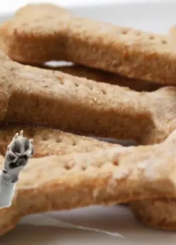 Receita de Biscoito Canino Caseiro