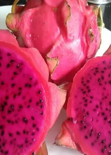 Conheça Pitaia (Pitaya) a fruta dragão (dragon fruit)