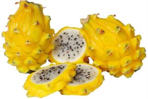 pitaya branca por dentro com pele amarela
